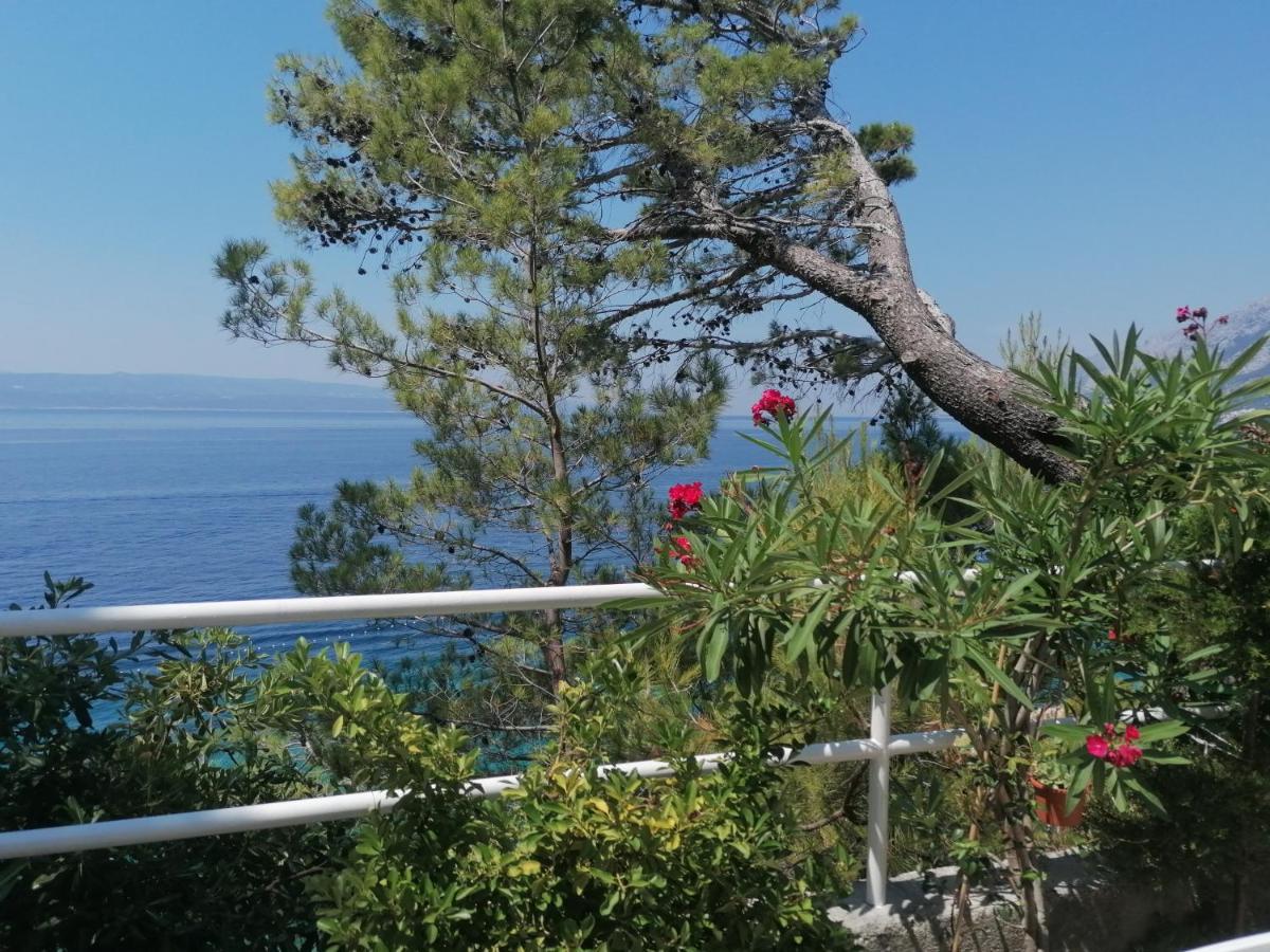Apartmani Mares - 20 M From The Beach Brela Extérieur photo