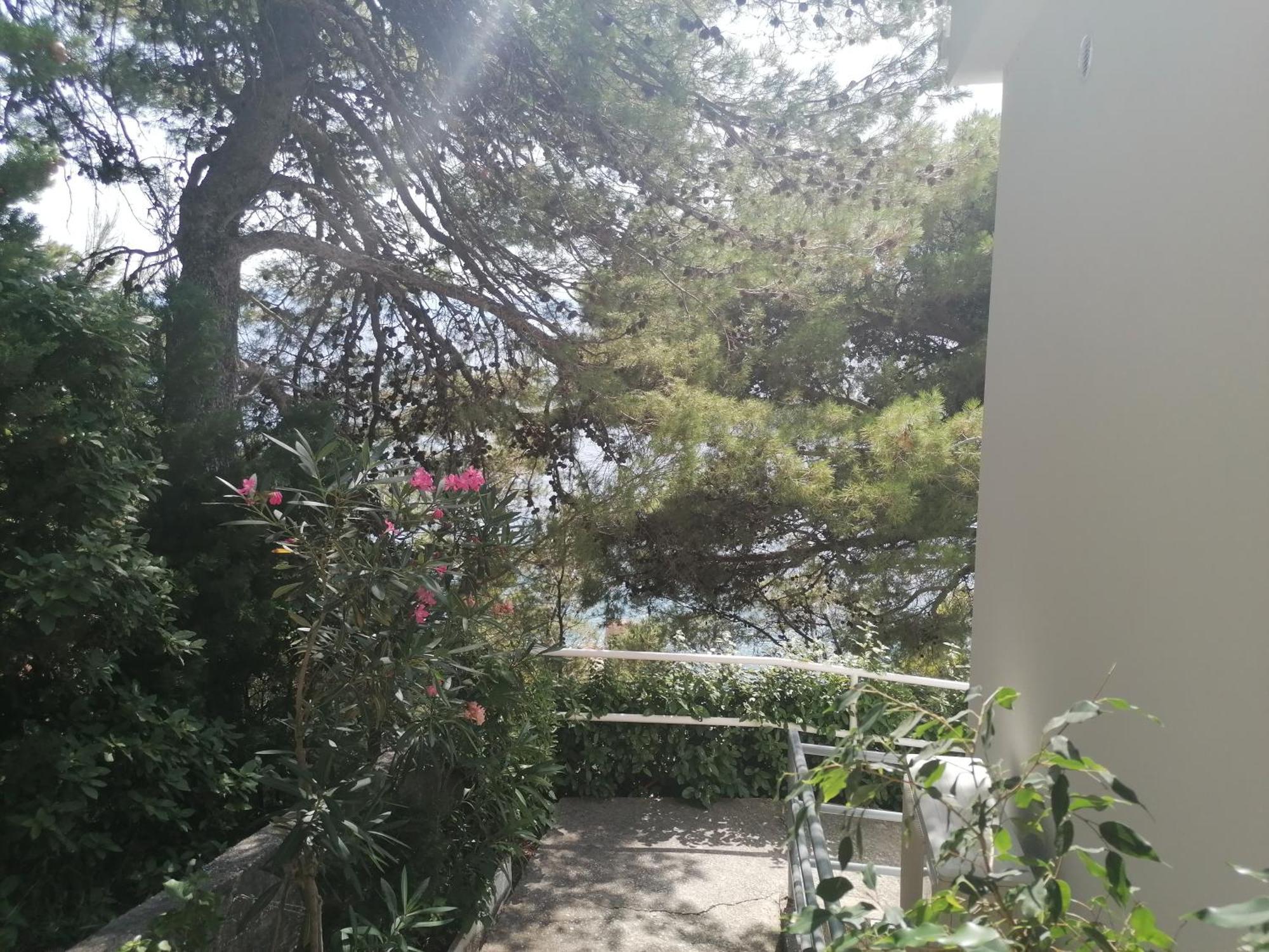 Apartmani Mares - 20 M From The Beach Brela Extérieur photo